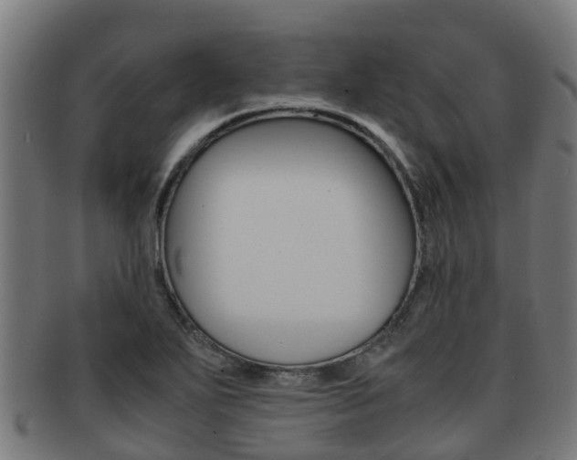 X0000091921271200709051224