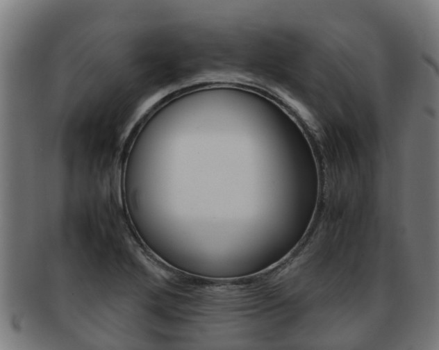 X0000091921272200709051224