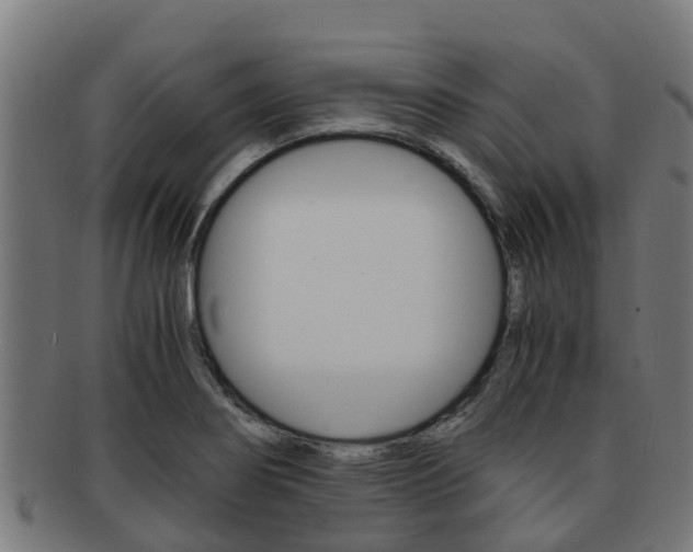 X0000091921274200709051224