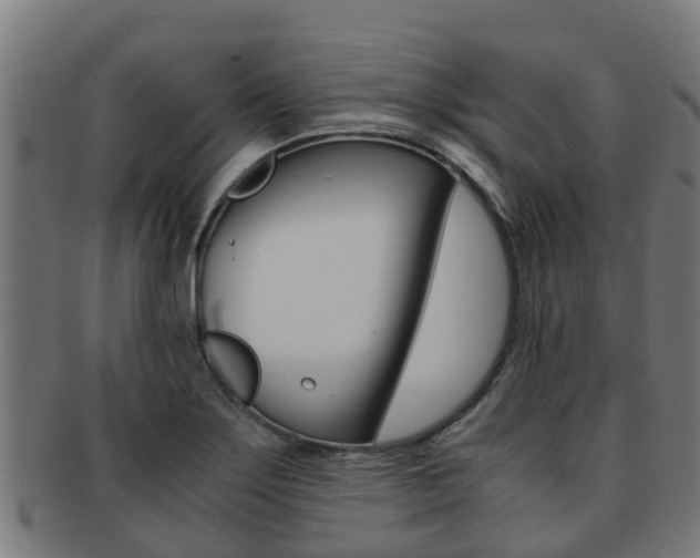 X0000091921275200709051224