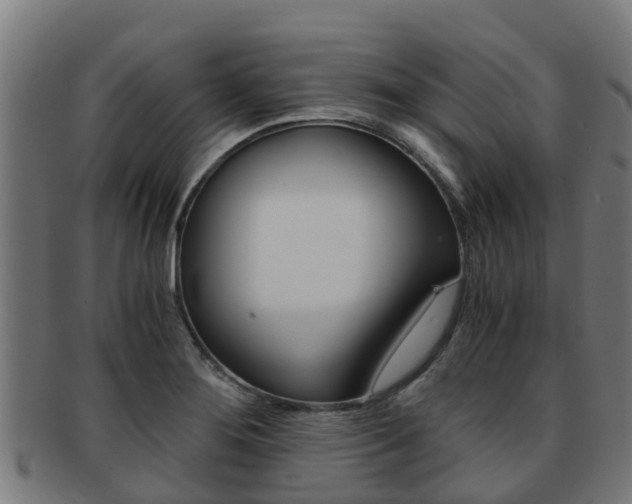 X0000091921276200709051224