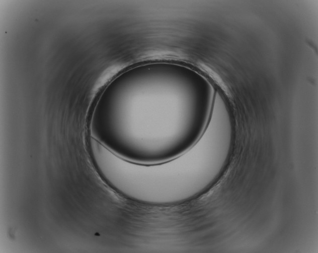 X0000091921277200709051224