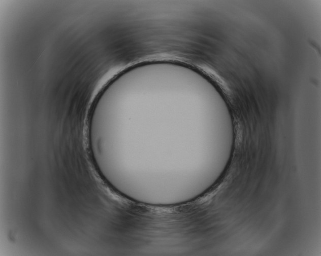 X0000091921278200709051224