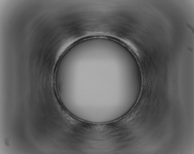 X0000091921279200709051224