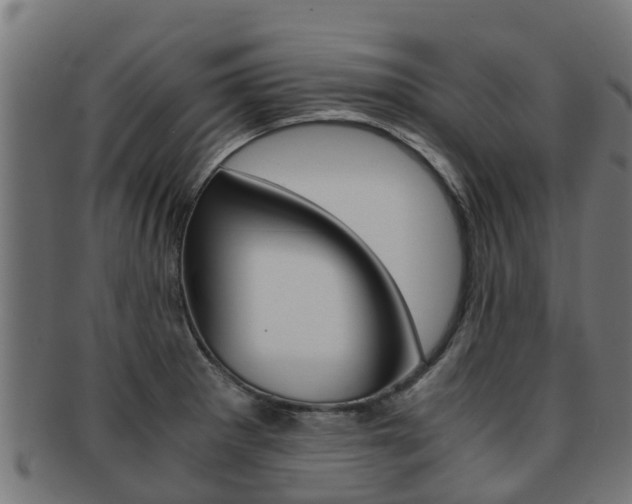 X0000091921281200709051224