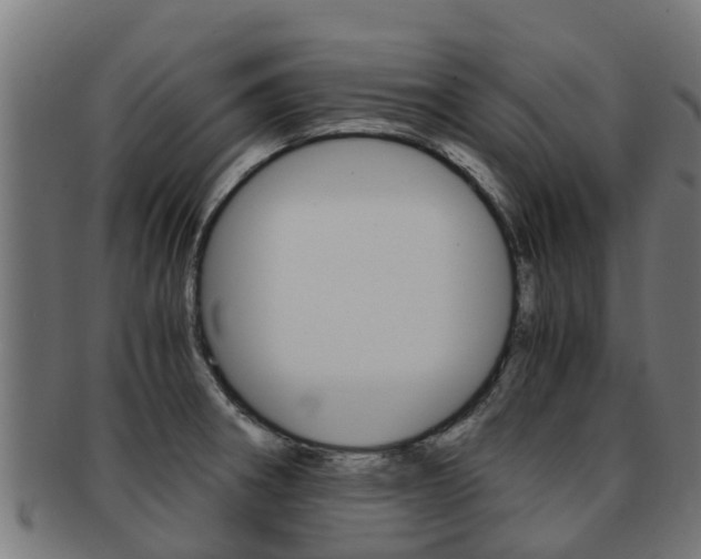 X0000091921282200709051224