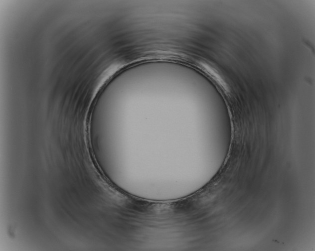X0000091921283200709051224