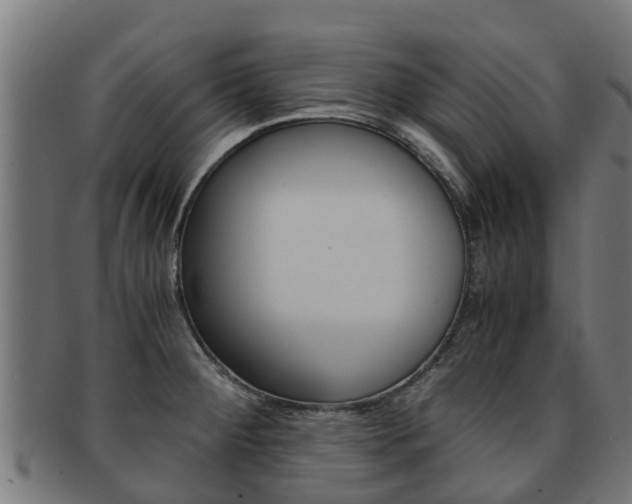 X0000091921284200709051224