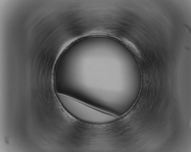 X0000091921288200709051224