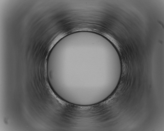 X0000091921290200709051224