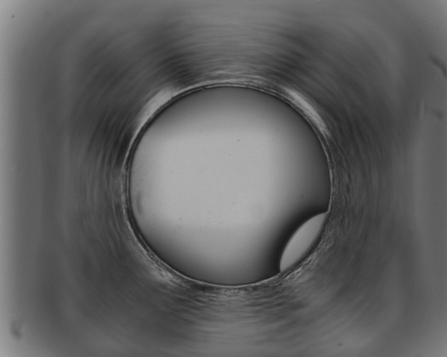 X0000091921291200709051224