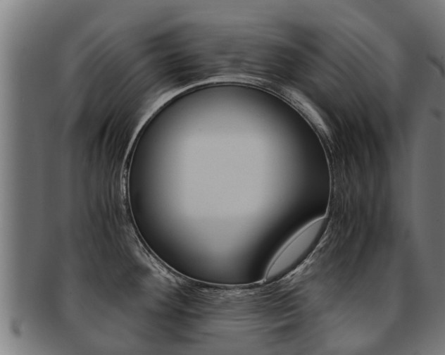X0000091921292200709051224