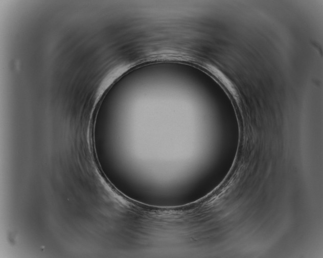 X0000091921293200709051224