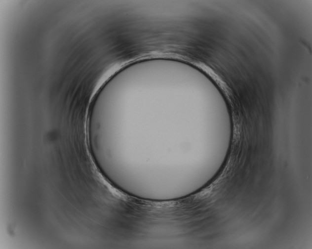 X0000091921294200709051224