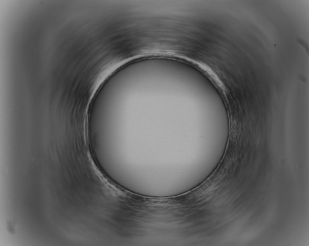X0000091921295200709051224
