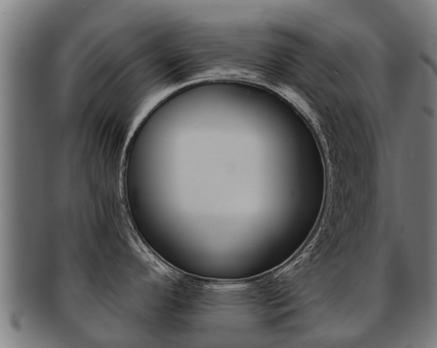X0000091921296200709051224