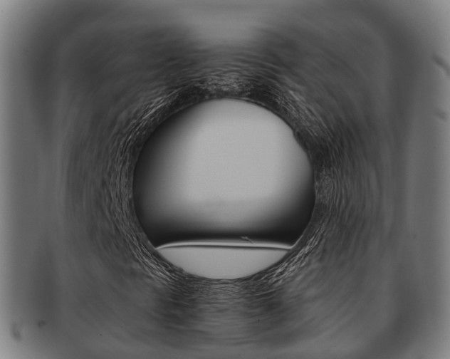 X0000091921297200709051223