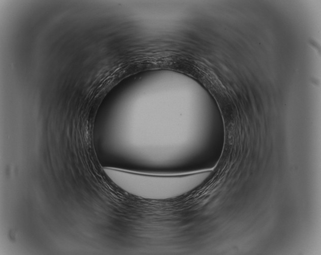 X0000091921298200709051223
