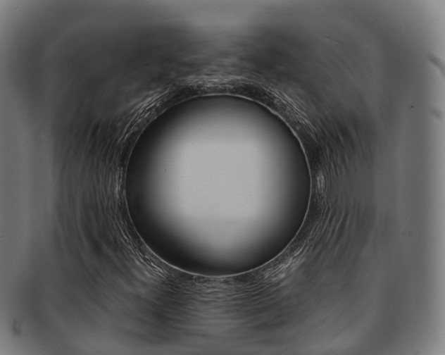 X0000091921300200709051223