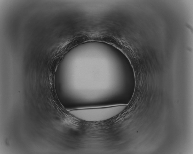 X0000091921301200709051223