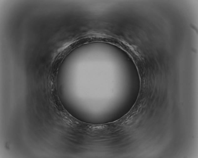 X0000091921303200709051223