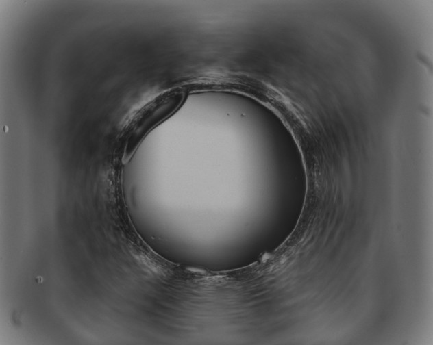 X0000091921304200709051223