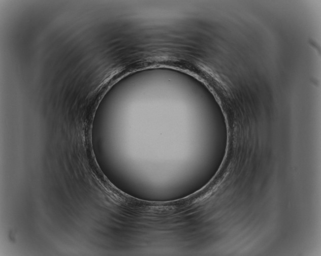X0000091921305200709051223