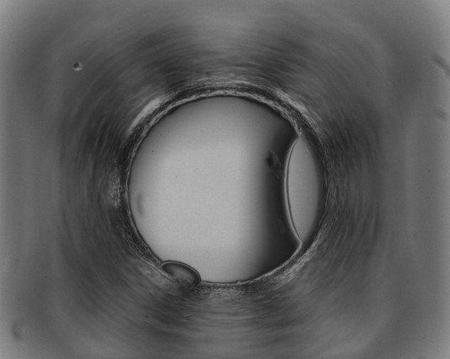 X0000091921306200709051223