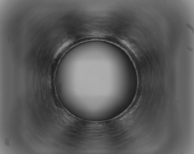 X0000091921307200709051223