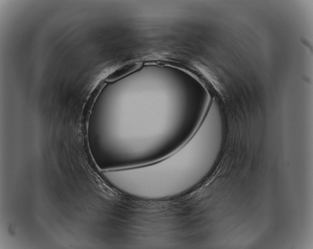 X0000091921308200709051223