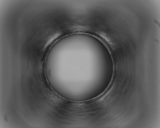 X0000091921309200709051223