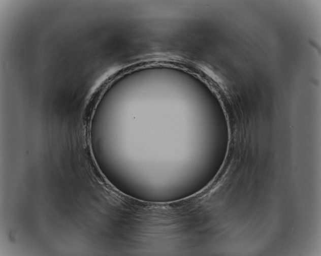 X0000091921310200709051223