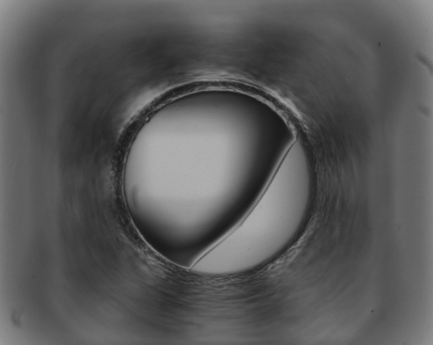 X0000091921311200709051223