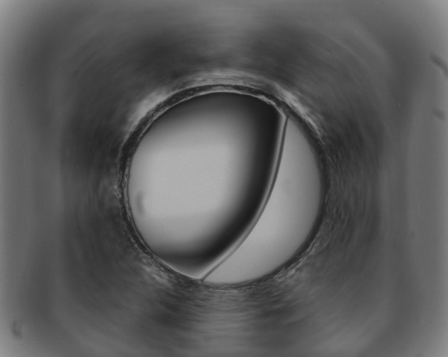 X0000091921312200709051223