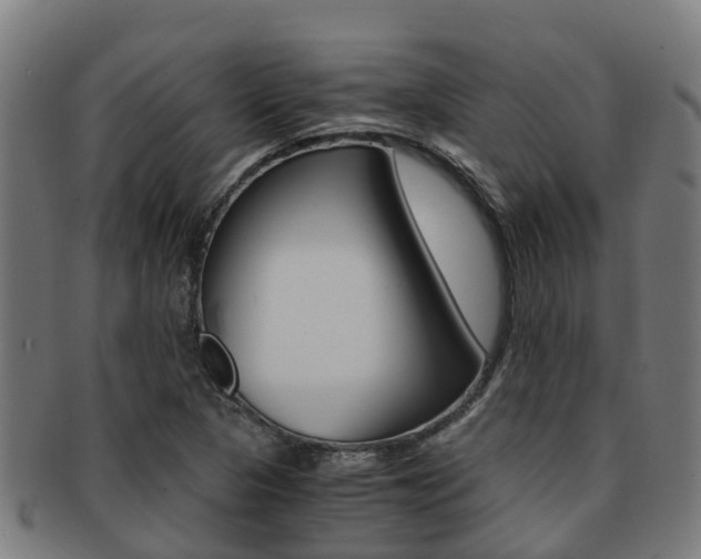 X0000091921313200709051223