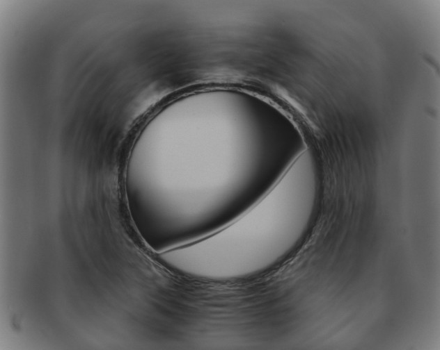 X0000091921315200709051223