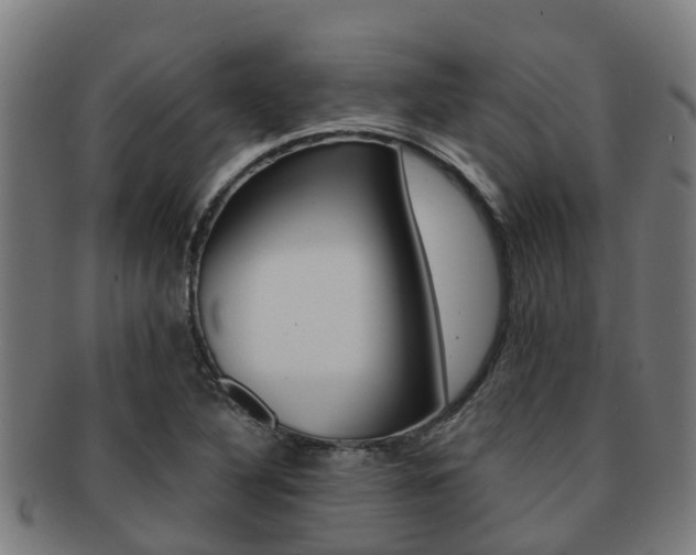 X0000091921316200709051223