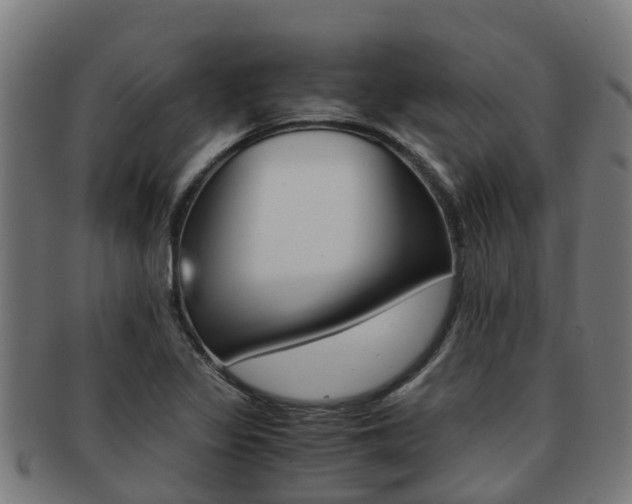 X0000091921317200709051223