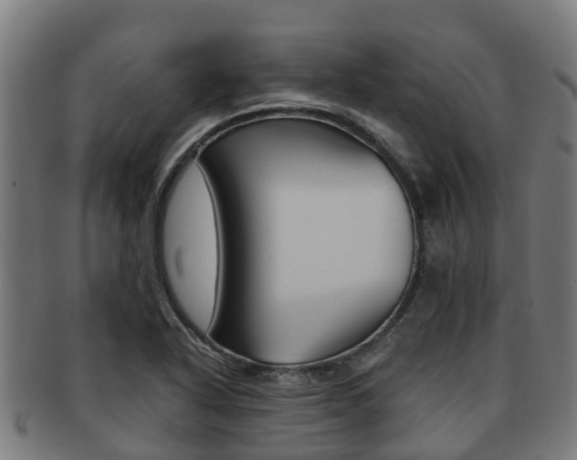 X0000091921318200709051223