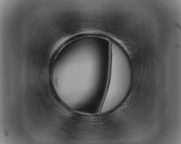 X0000091921319200709051223