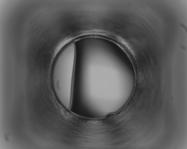 X0000091921320200709051223