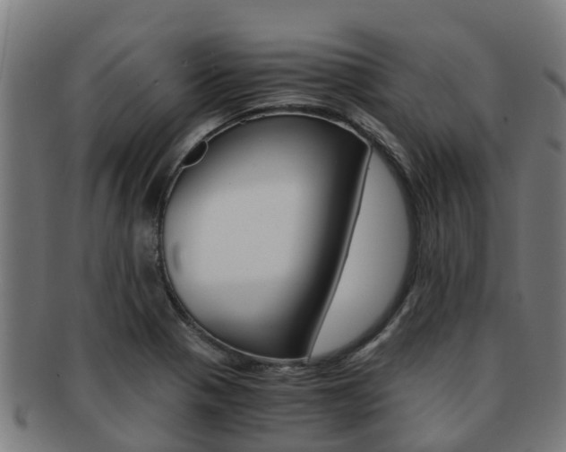 X0000091921321200709051223