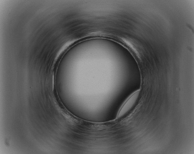 X0000091921323200709051223