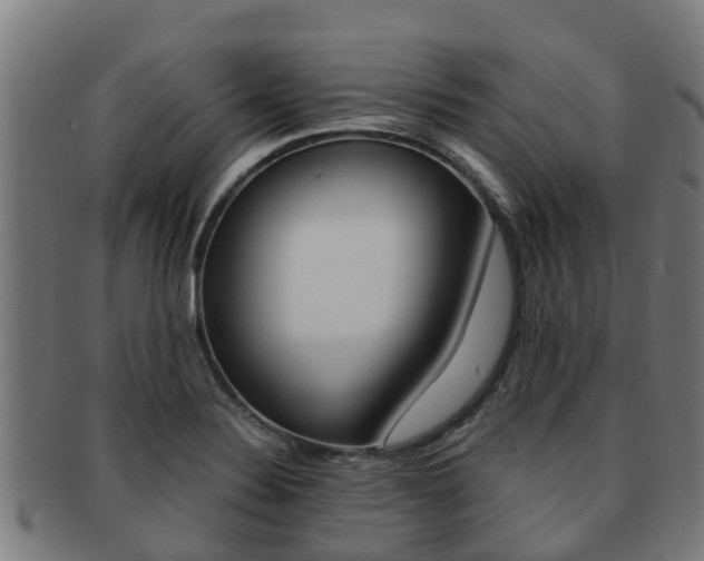 X0000091921324200709051223