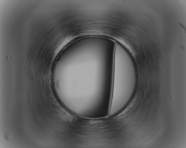 X0000091921325200709051223
