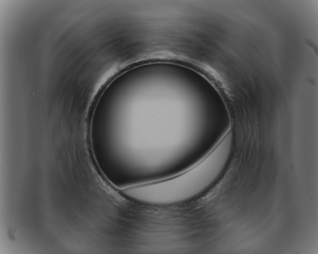X0000091921326200709051223