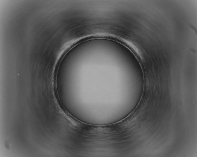 X0000091921327200709051223