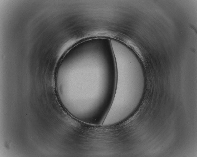 X0000091921328200709051223