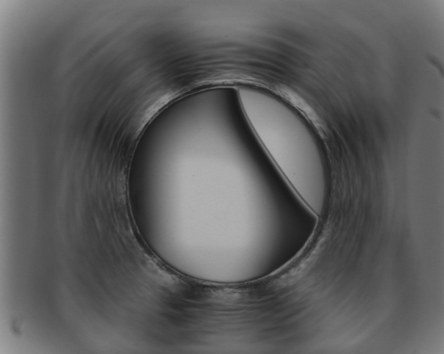 X0000091921329200709051223