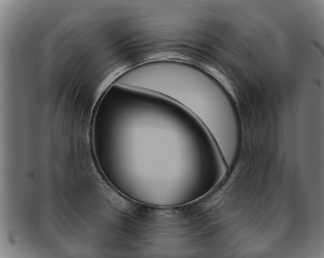 X0000091921330200709051223